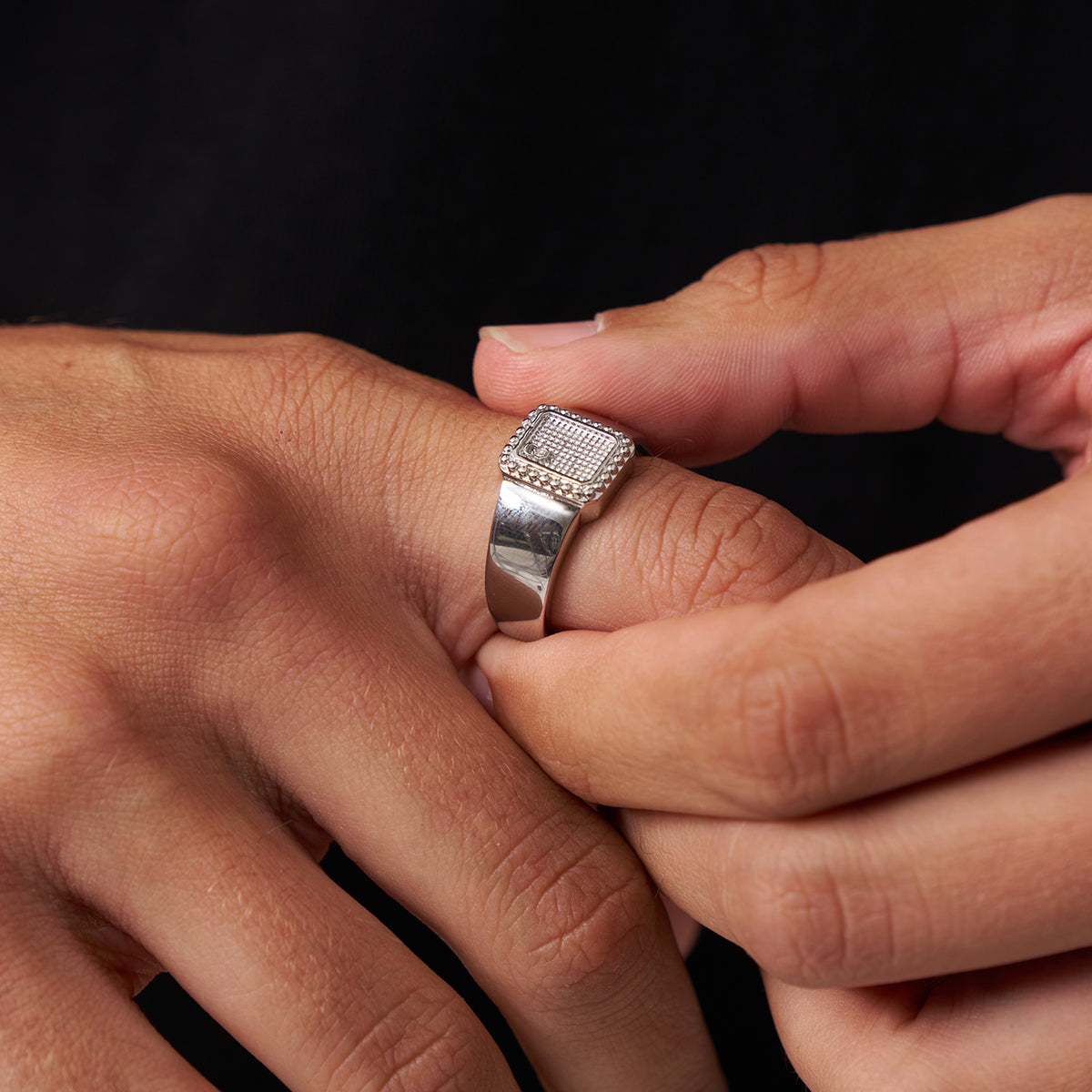 Royal Signet Ring | Silver | Unisex | Stainless Steel | Royal Crest Design | Classic Style | Steven & Levon