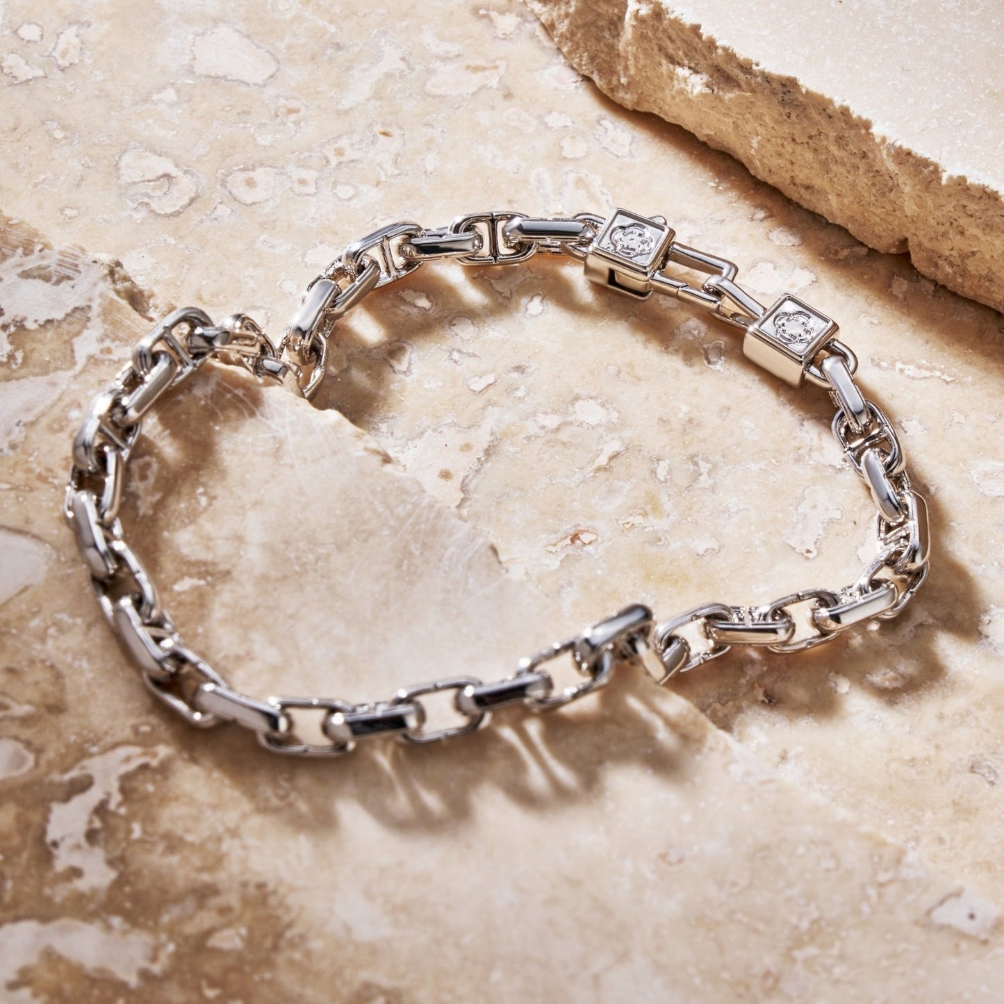 CD Anchor Link Bracelet | Men | Gold or Silver | Anchor Link Bracelet | Steven & Levon
