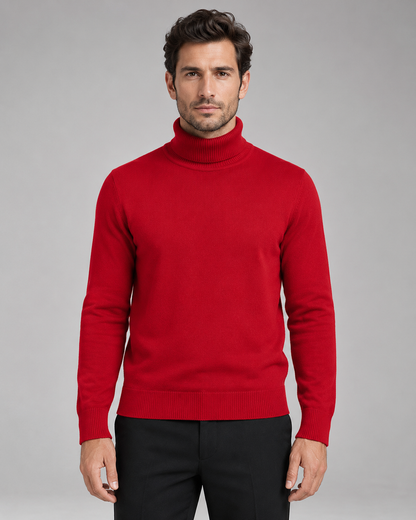 Men's Turtleneck Sweater Fine Knit Roll Neck Classic Fit